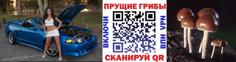 Псилоцибиновые грибы Magic Shrooms  где найти   мега   Алатырь 
